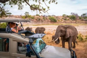 8 Days Tanzania Safari