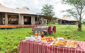 Acacia Bliss Luxury Camp