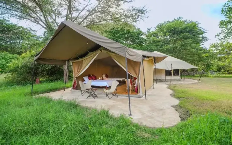 Dolly Farm & River Camp