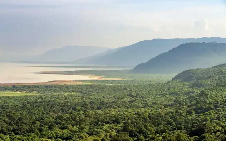 Lake Eyasi