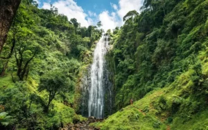 Materuni Waterfalls & Coffee Experience