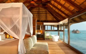 Melia Zanzibar