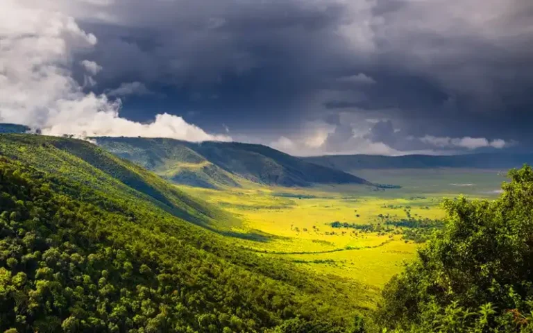 Ngorongoro Crater