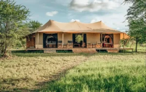 Serengeti Kamwene Tented