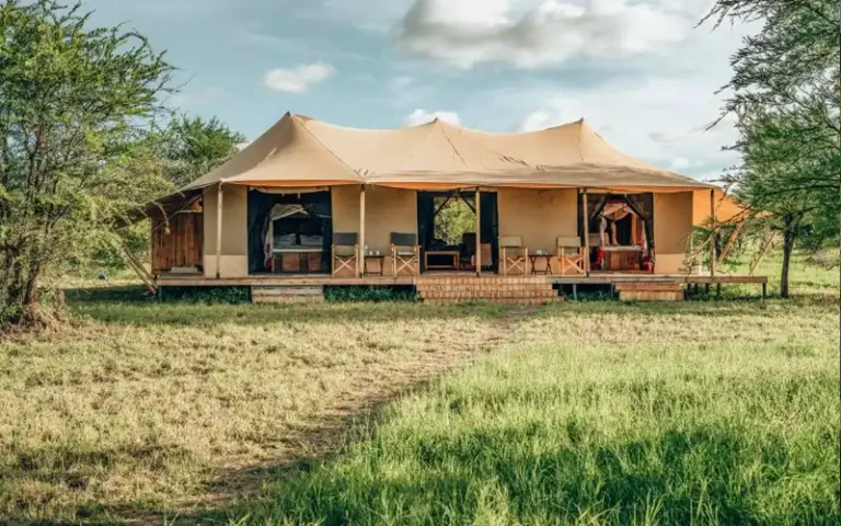 Serengeti Kamwene Tented