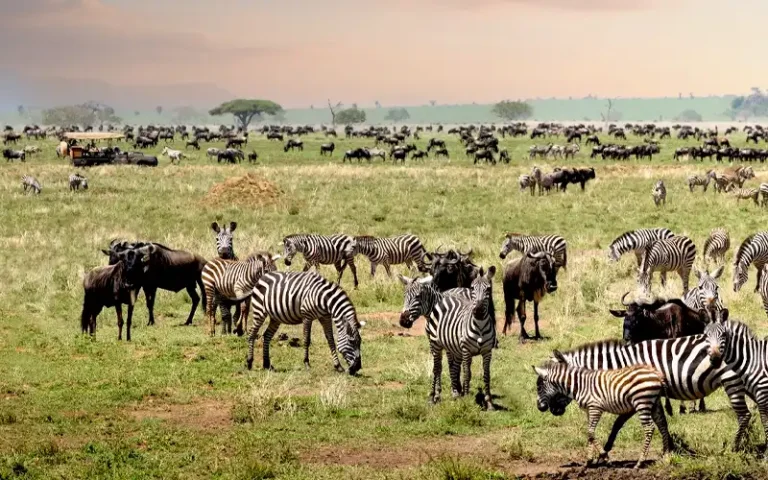 Serengeti National Park