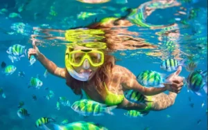Snorkeling or scuba diving excursions