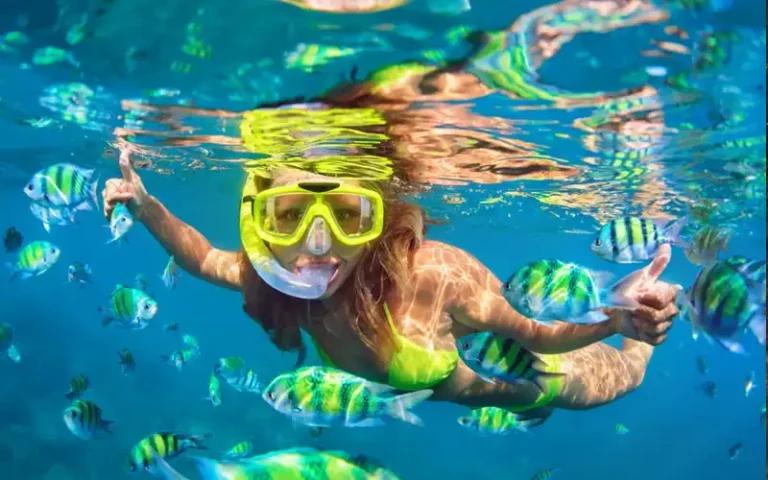 Snorkeling or scuba diving excursions