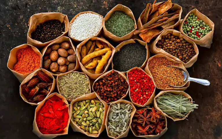 Zanzibar spice plantation