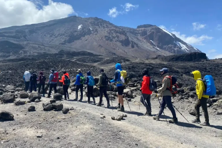 5 Days Kilimanjaro Trekking Marangu Route