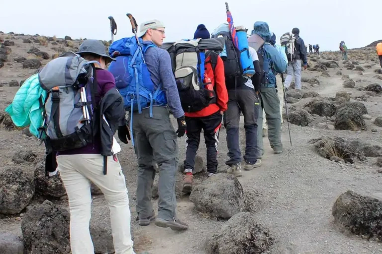 Conquer Kilimanjaro with the 6 Days Umbwe Route. The steepest, shortest, and most direct path to Uhuru Peak, ideal for experienced trekkers seeking a challenging adventure