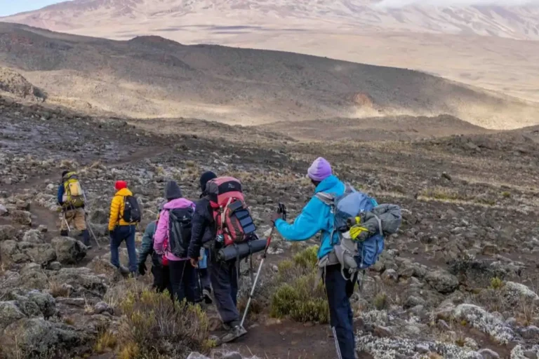 6 Days Kilimanjaro Trekking – Marangu Route Itinerary