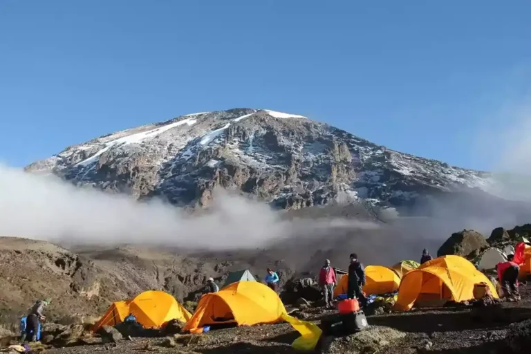 7 Days Kilimanjaro Trekking Machame Route