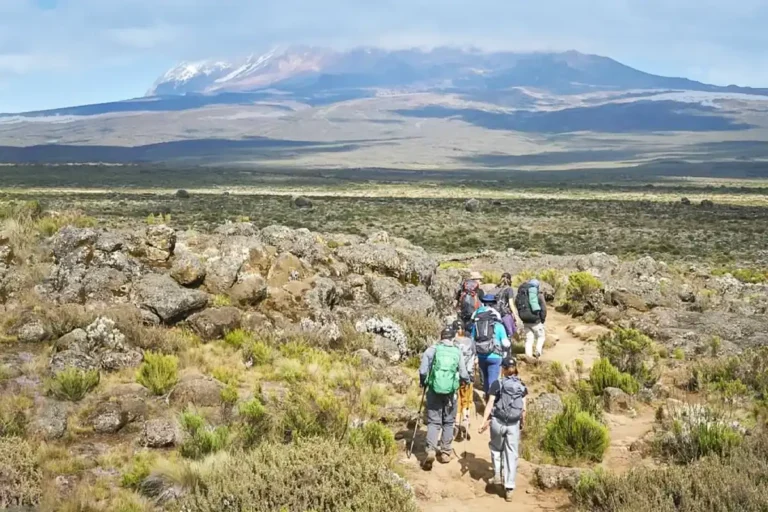 8 Days Kilimanjaro Trekking Lemosho Route