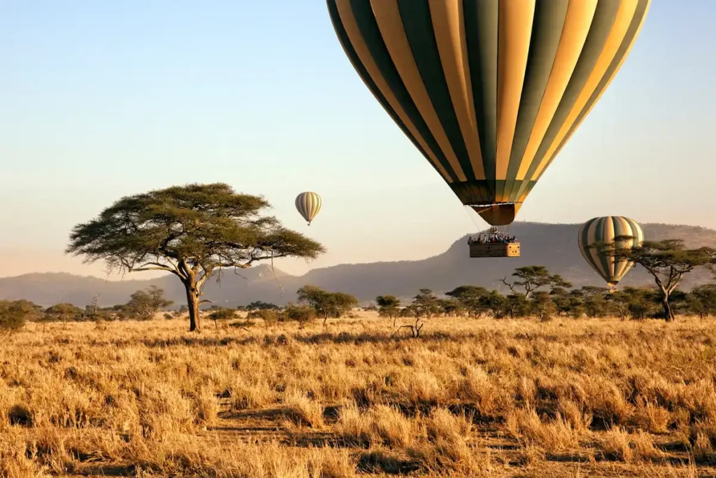 Discover unforgettable Tanzania tours! From Serengeti safaris to Mount Kilimanjaro hikes, explore the top adventures, travel tips, and must-see spots in Tanzania