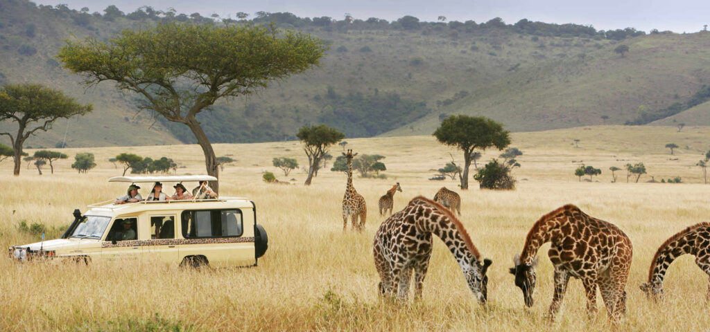 Extending to East Africa: Kenya, Uganda, and Rwanda safari
