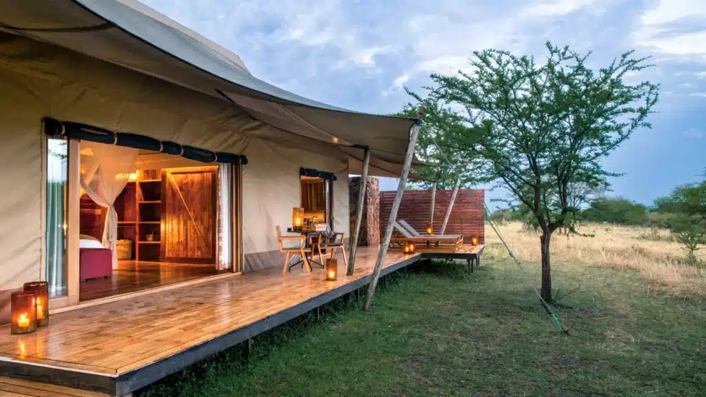 Best Camps for the Great Migration