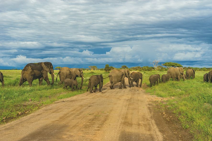 Sample Tanzania Safari Cost Breakdown: 7 Days