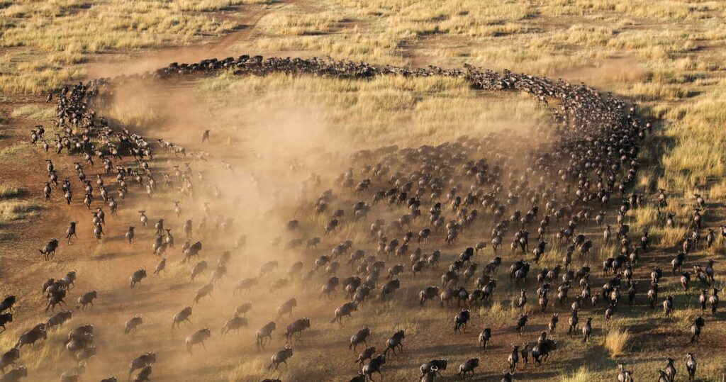 Explore Kenya's Masai Mara
