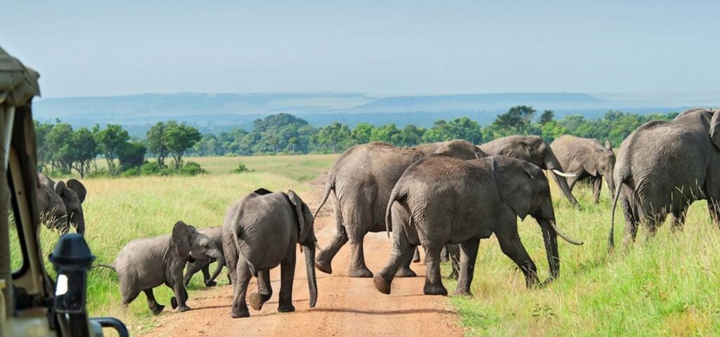 The Southern Circuit: Outstanding Value and True Wilderness
