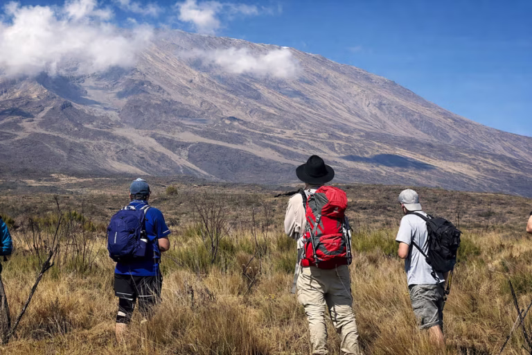 Approaching from the North: The Rongai Route Kilimanjaro