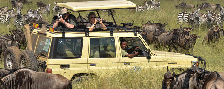 Adventure Safari