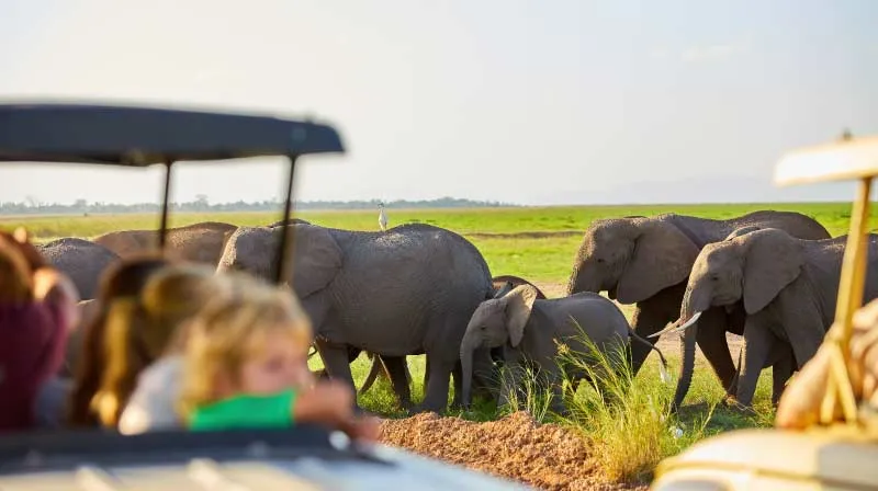 Things To Do In Tanzania