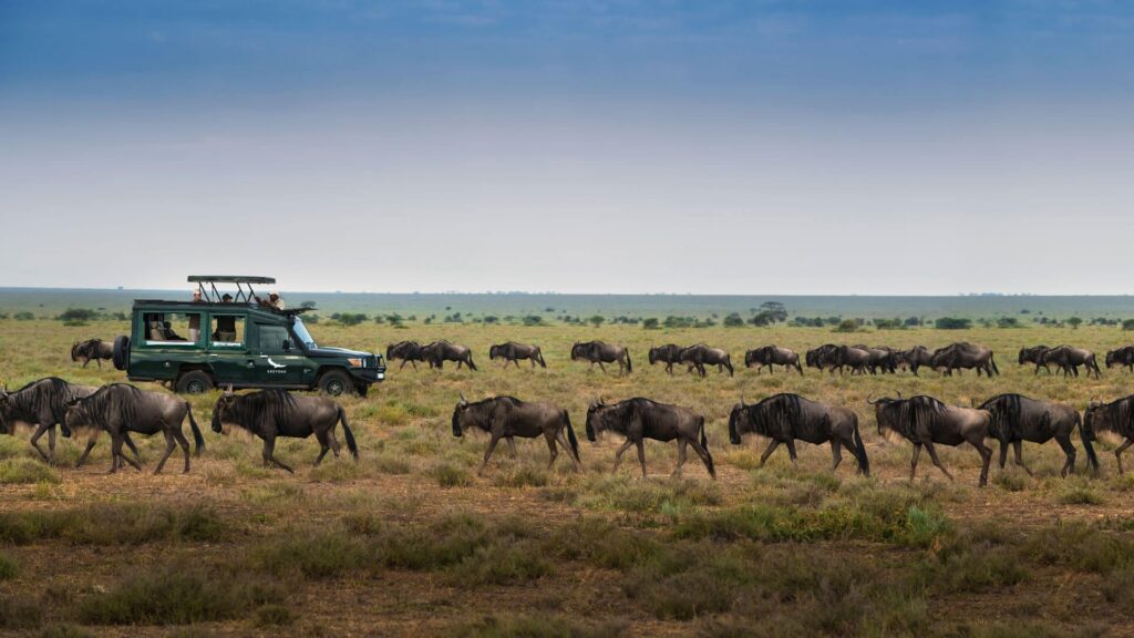 The Great Migration