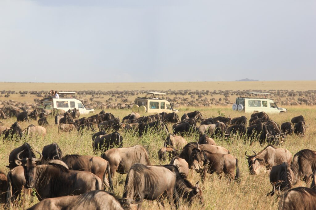 Combining Kilimanjaro with a Tanzania Safari