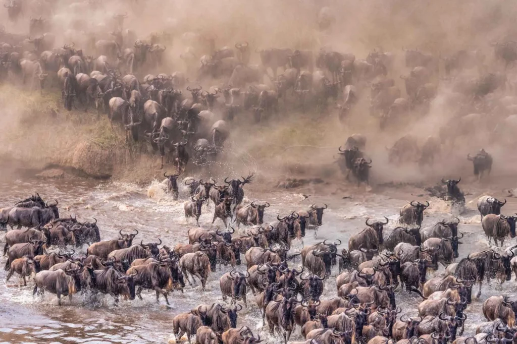 Which is Better? Serengeti vs Ngorongoro Comparison