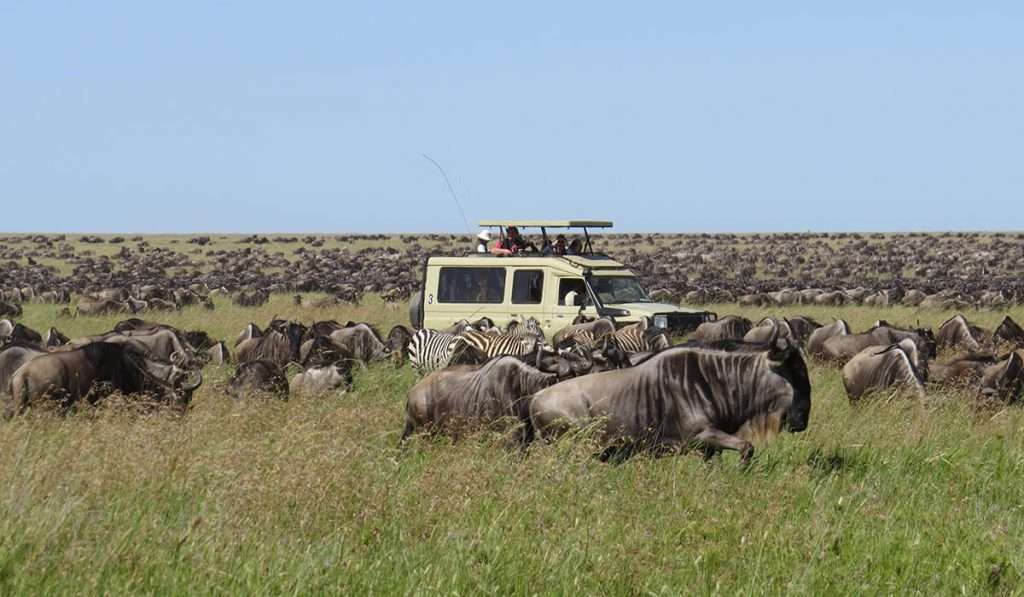 Mid-Range Safari: $250–$500 Per Person Per Day