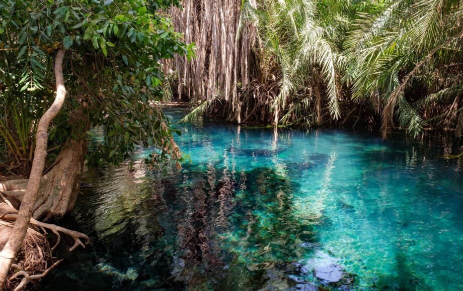 Best Experiences to Add to Your Solo Trip