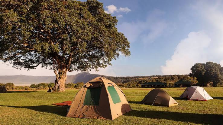 Budget Safari: $100–$250 Per Person Per Day