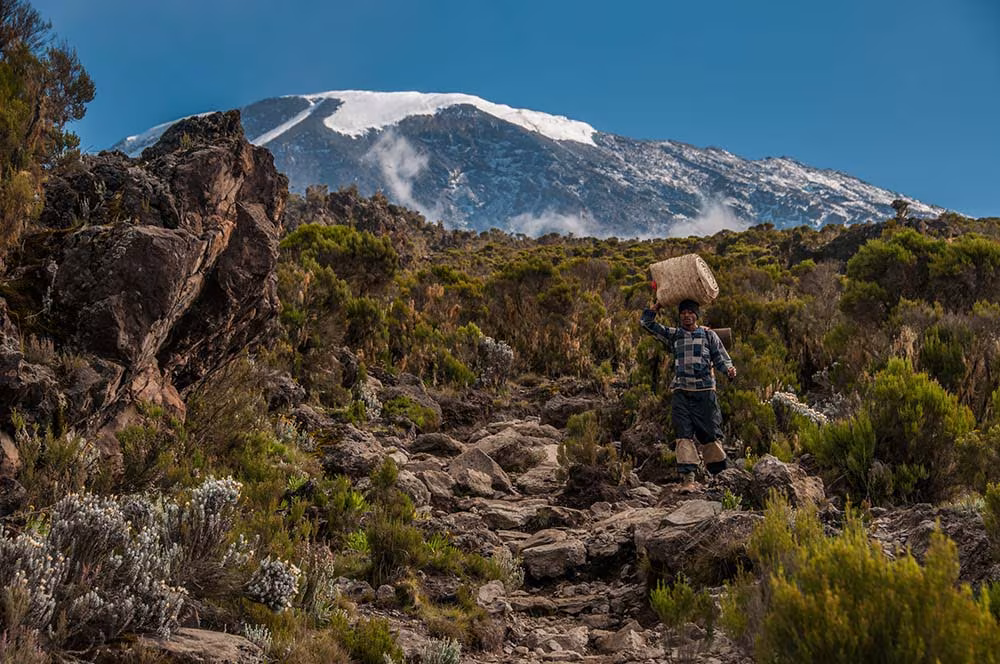Kilimanjaro's Five Climatic Zones