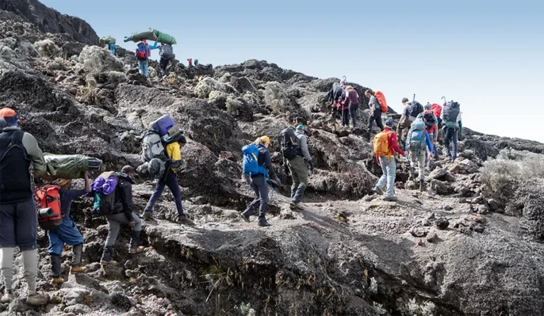 How Much to Save: The True Climb Kilimanjaro Cost Guide