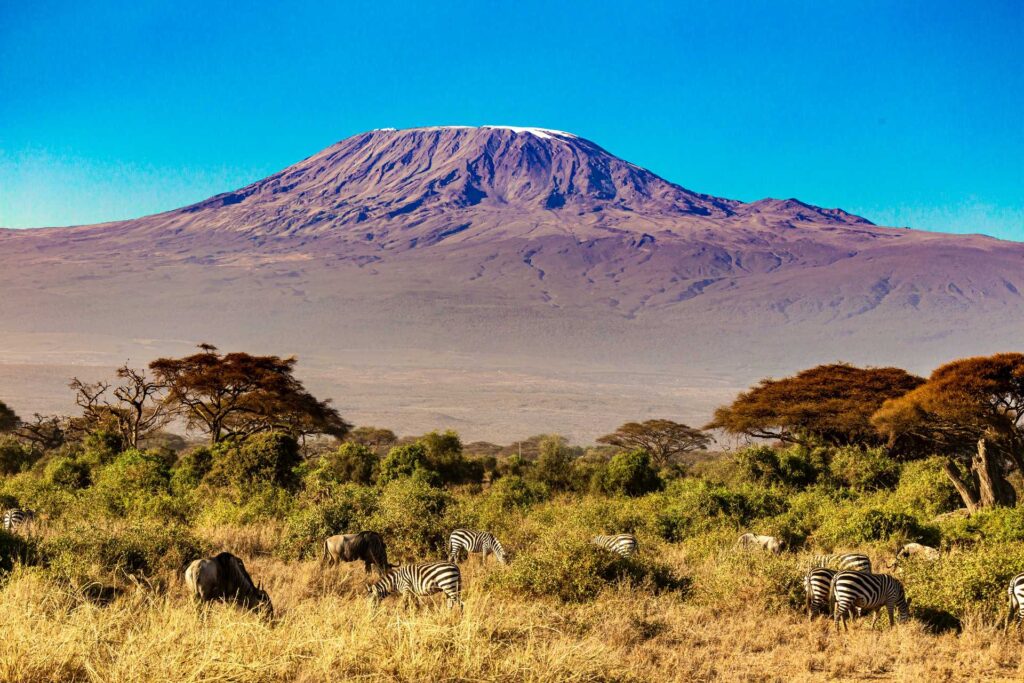 Kilimanjaro: A Different Kind of Tanzania Adventure