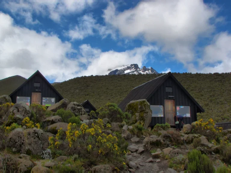 The "Coca-Cola" Path: Inside Marangu Route Kilimanjaro