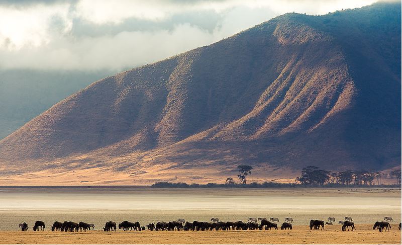 Ngorongoro Crater: Dawn Descent