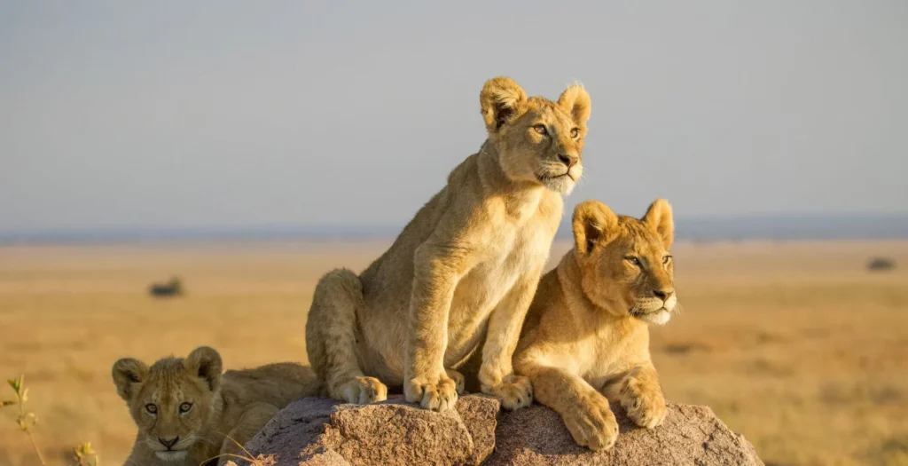Tanzania Travel Safety: An Honest Guide for Every Visitor