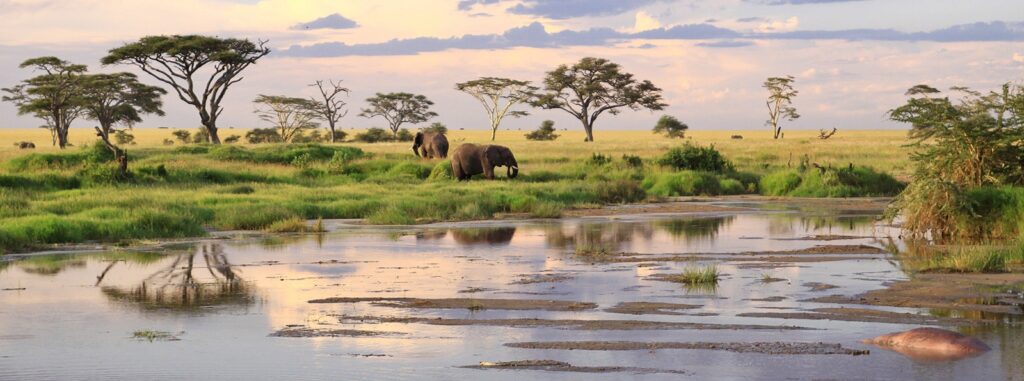 Serengeti: Seronera Valley