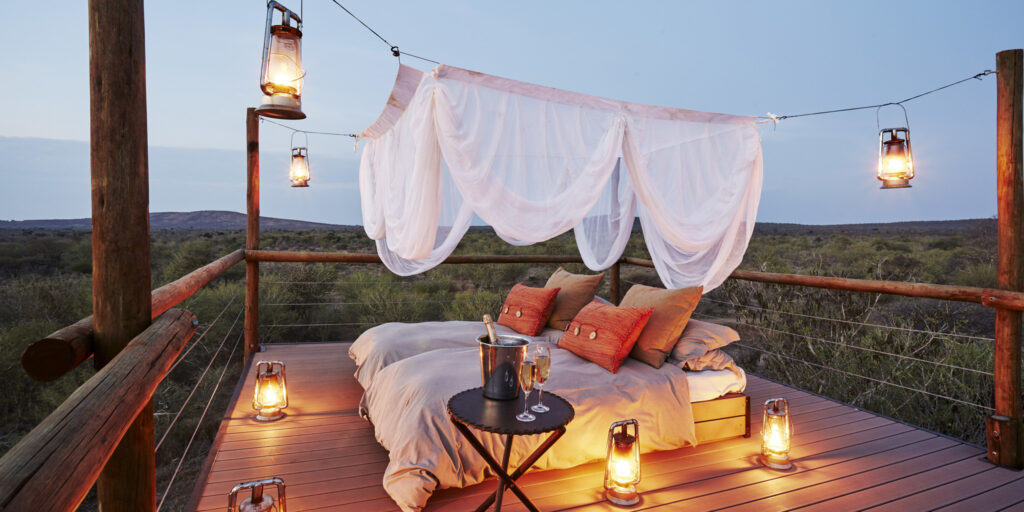 Honeymoon Safari