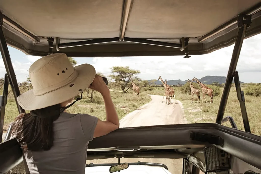 Is a Private Safari Tanzania Package Worth the Premium?