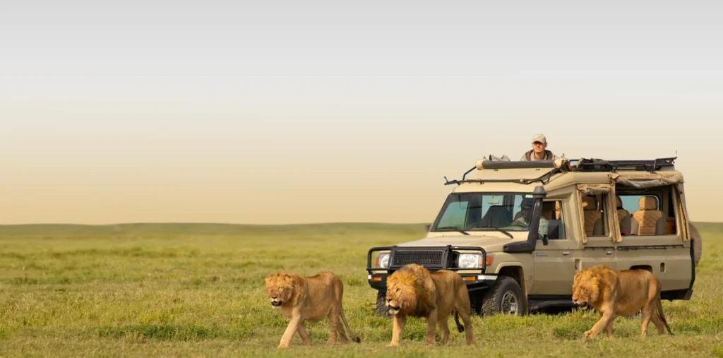 Tanzania Safari Cost by Budget Level