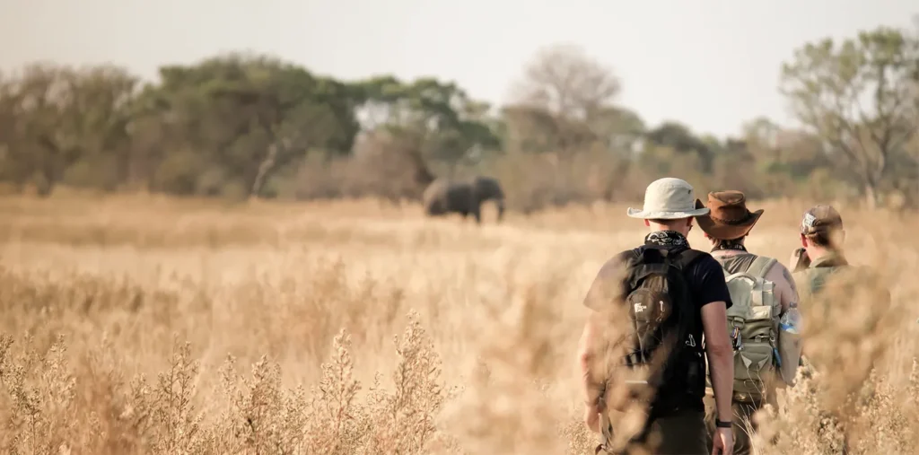 Tanzania Safari Guide: Everything You Need to Plan the Perfect Safari