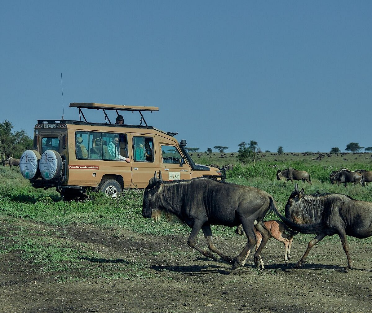 How Northern MasaiLand Safaris Keeps You Safe