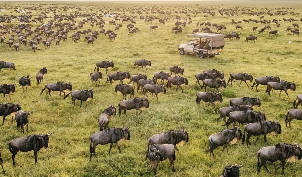 Why Tanzania?