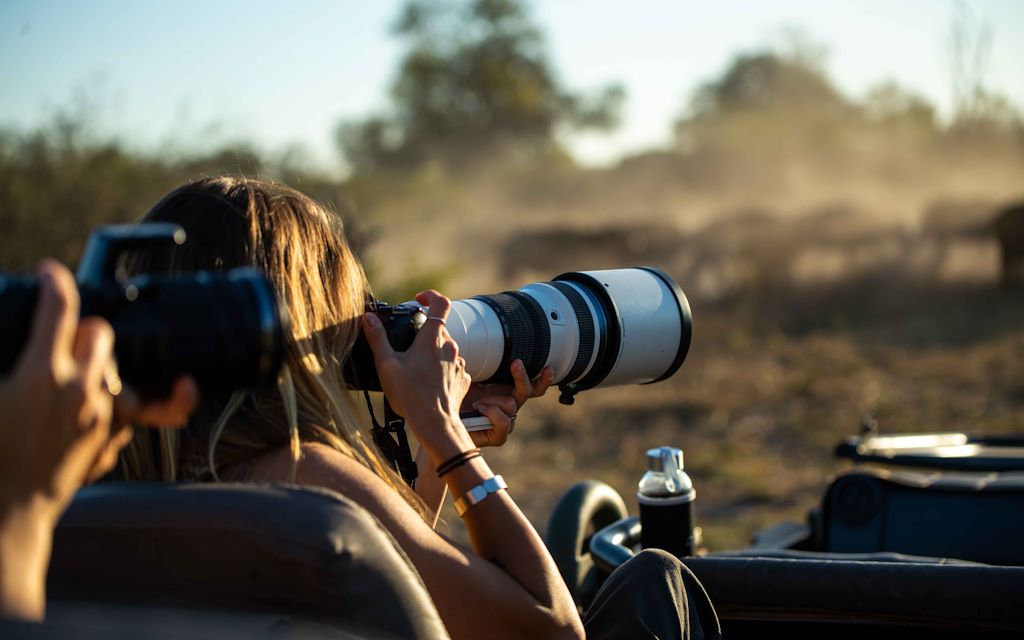 Photographic Safari