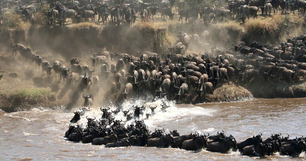 The Great Migration