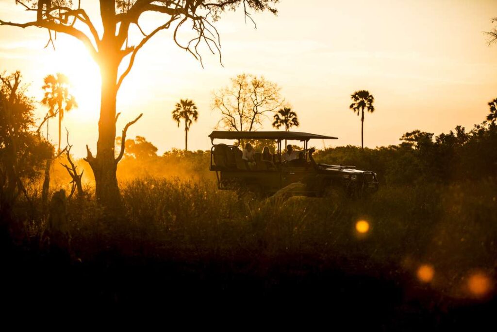 Why Safari Mornings Start So Early